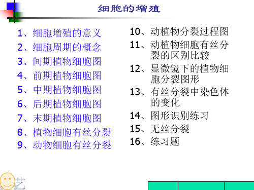 细胞的增殖精品PPT教学课件