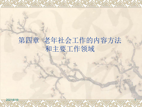 老年社会工作内容、方法、领域