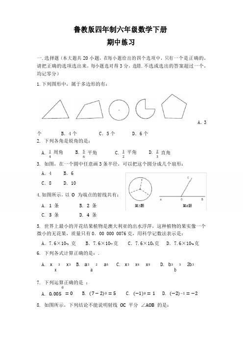 鲁教版(五四制)六年级数学下册期中测试题