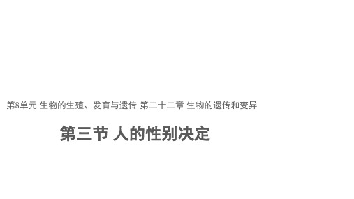 苏教版八年级下册 第三节 人的性别决定 教学课件