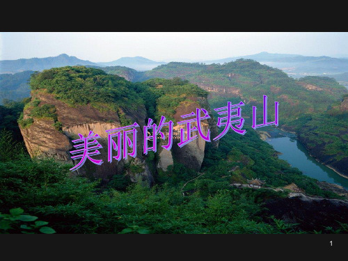 31《美丽的武夷山》PPT课件