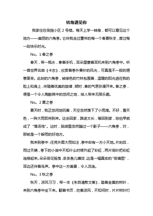 六年级作文:转角遇见你作文700字