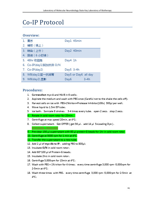 免疫沉淀、免疫共沉淀(Co-IP )protocal 操作流程