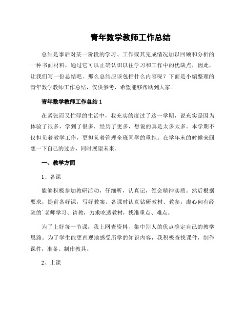 青年数学教师工作总结