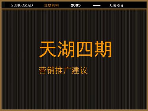 2019年南京天湖四期营销推广建议-PPT精选文档