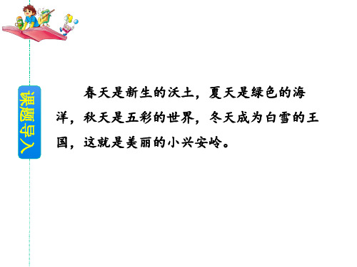 三年级上册语文20美丽的小兴安岭人教部编版课件