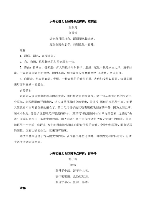 【精编】2020精编小升初复习-小升初语文一本通-古诗词考点解析4通用版