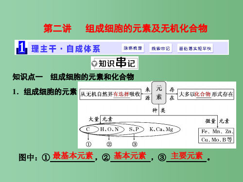 高三生物一轮复习 第一单元 细胞及其分子组成 第二讲 组成细胞的元素及无机化合物(必修1)