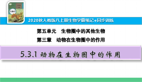 八上生物学霸笔记+同步训练5.3.1 动物在生物圈中的作用