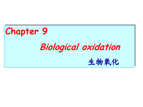 学生-第九章生物氧化PPT课件