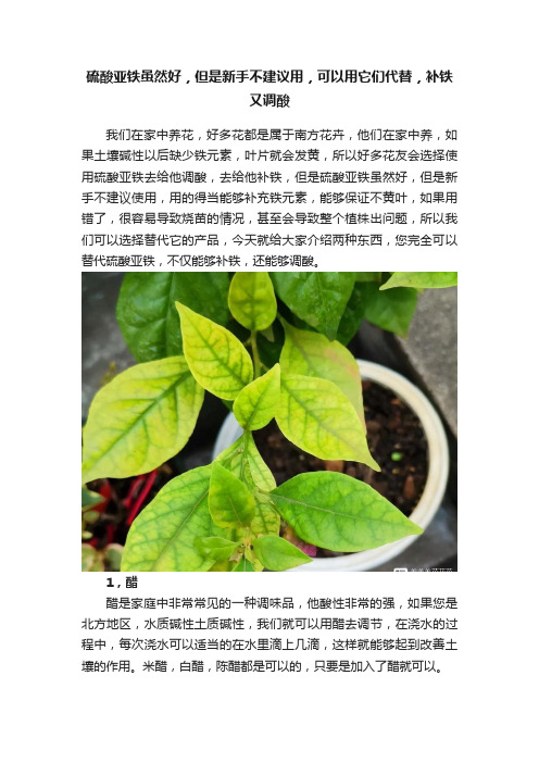 硫酸亚铁虽然好，但是新手不建议用，可以用它们代替，补铁又调酸