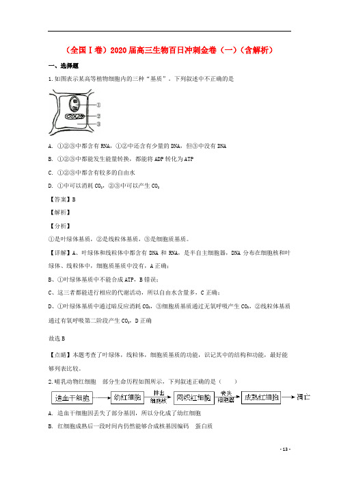 全国Ⅰ卷2020届高三生物百日冲刺金卷一含解析