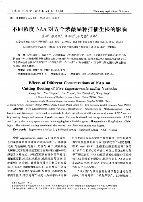 不同浓度NAA对五个紫薇品种扦插生根的影响