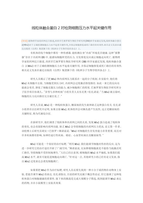 线粒体融合蛋白2对检测细胞压力水平起关键作用