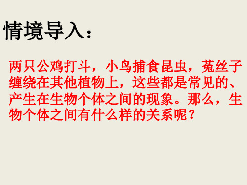 冀教版八年级下册生物  .1环境对生物的影响 课件