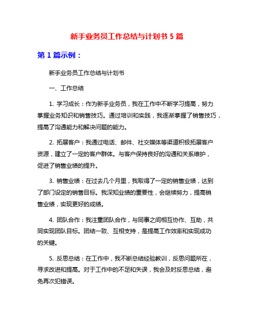 新手业务员工作总结与计划书5篇