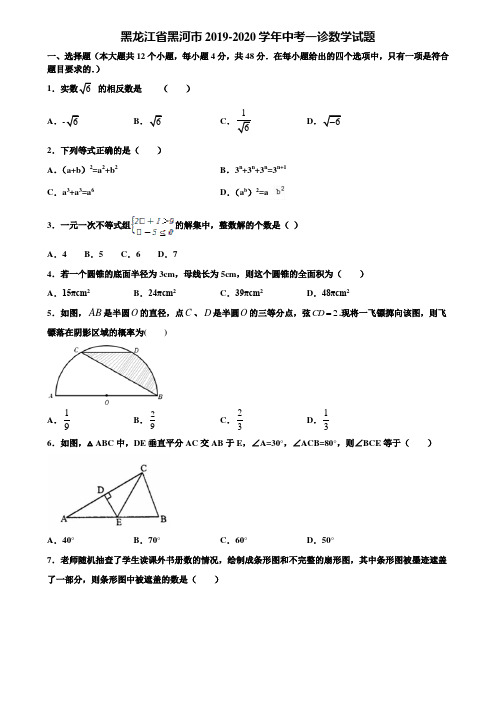 黑龙江省黑河市2019-2020学年中考一诊数学试题含解析