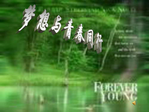 目标理想主题班会课件：梦想与青春同行