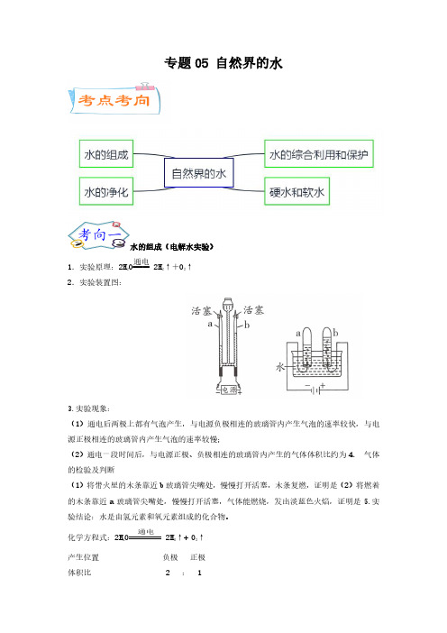 中考化学微专题考点详解：专题05 自然界的水(学生版)