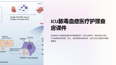 ICU脓毒血症医疗护理查房课件