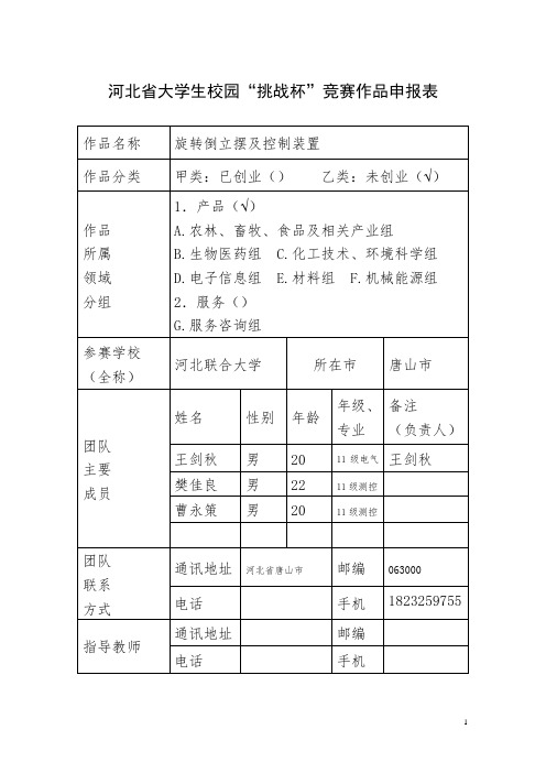 2013河北省电子设计竞赛省一简易旋转倒立摆及控制装置要点