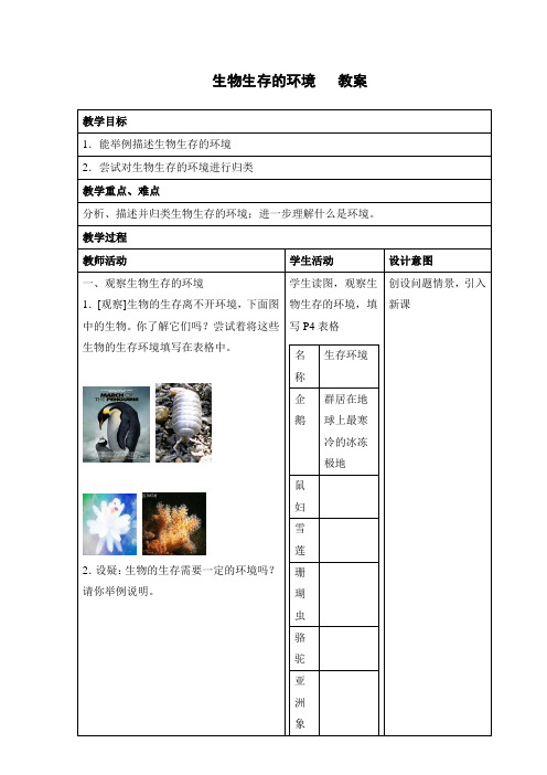 生物生存的环境教案