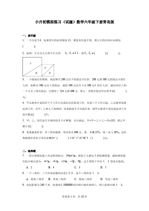 小升初模拟练习(试题)数学六年级下册青岛版(含解析)