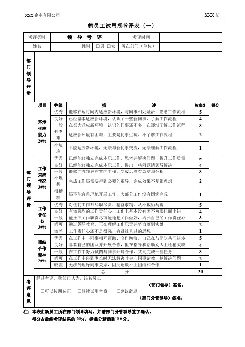 新员工试用期考评表