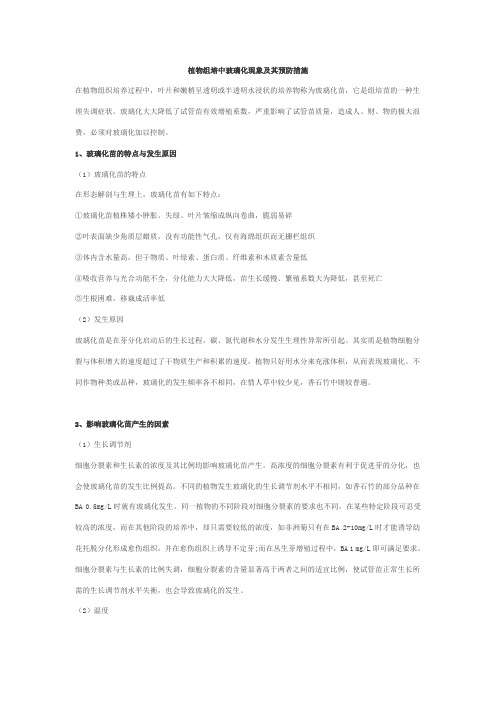 植物组培中玻璃化现象及其预防措施