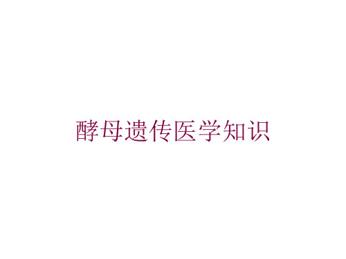 酵母遗传医学知识培训课件