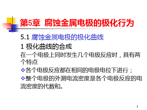 5章腐蚀金属电极的极化PPT课件