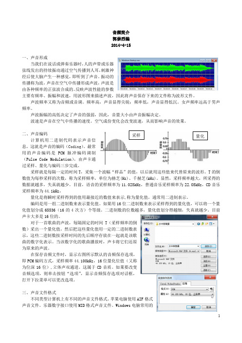 音频简介