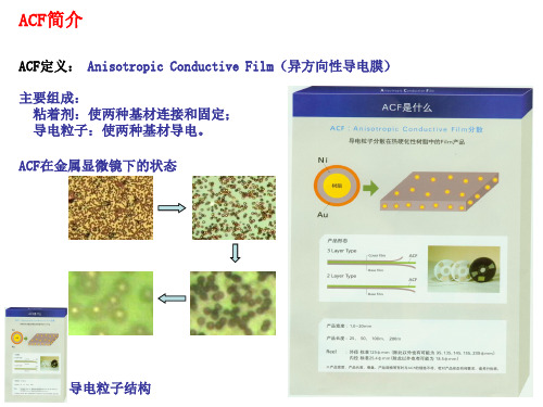 ACF接合介绍