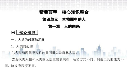 人教版七年级生物下册课件：生物圈中的人全册精要荟萃 核心知识整合