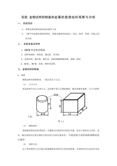 金相试样的制备和金属的显微组织观察与分析