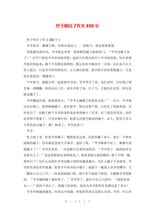 终于明白了作文800字