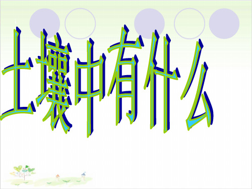 五年级上册科学-土壤中有什么-教科版-PPT课堂课件