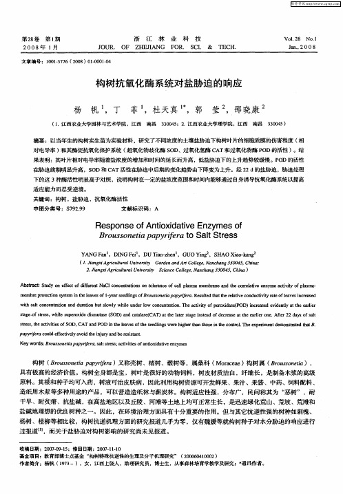 构树抗氧化酶系统对盐胁迫的响应