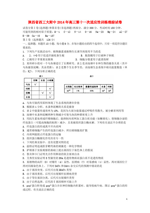 陕西省西工大附中高三理综第十一次适应性训练试题