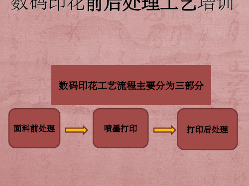 数码印花工艺流程培训