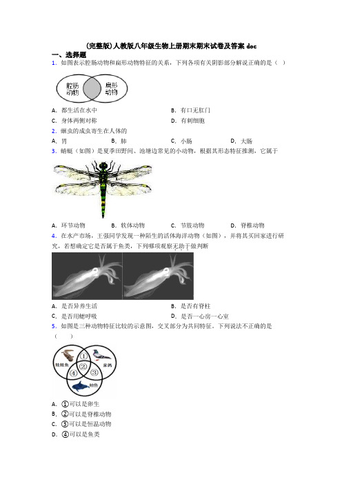 (完整版)人教版八年级生物上册期末期末试卷及答案doc