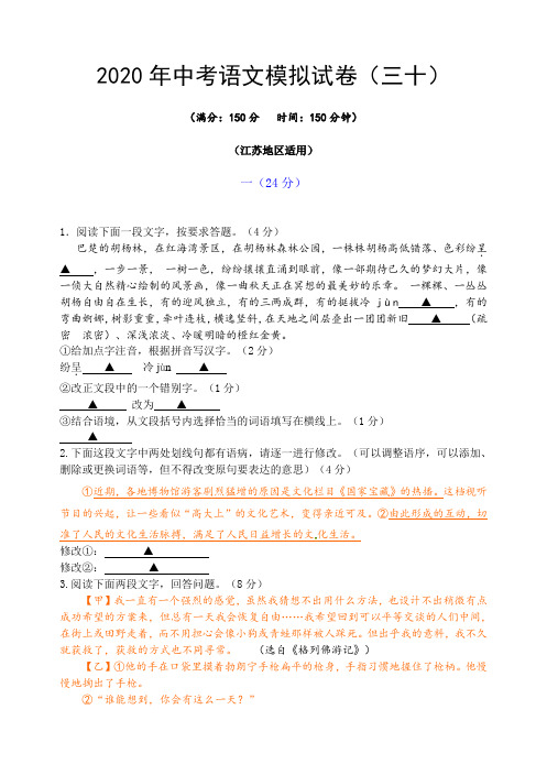 2020年中考语文模拟试卷(三十)江苏淮安适用