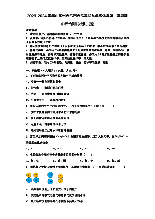 2023-2024学年山东省青岛市青岛实验九年级化学第一学期期中综合测试模拟试题含解析