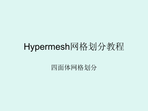 [精品]Hypermesh四面体网格