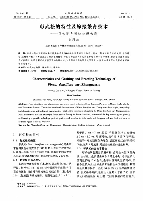 彰武松的特性及嫁接繁育技术--以大同九梁洼林场为例