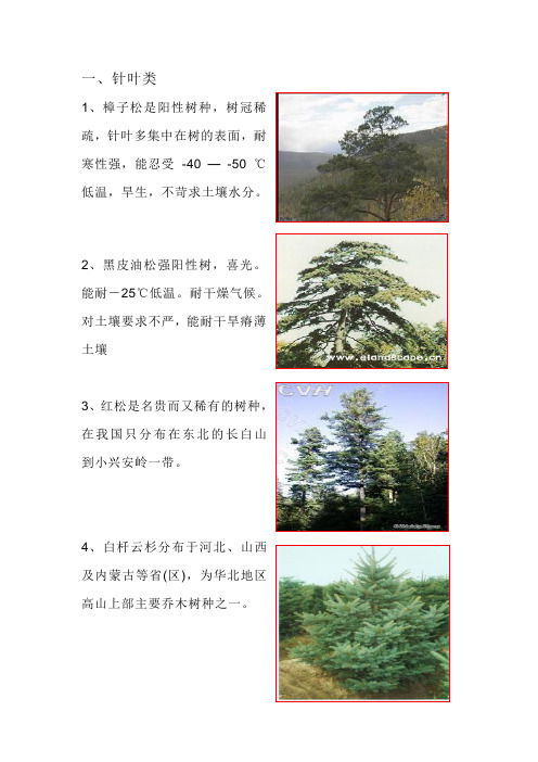 北方常见耐寒植物资料