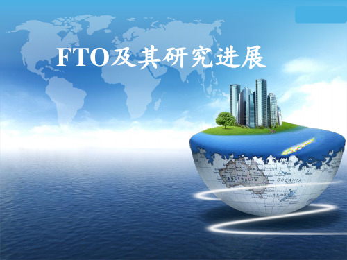 FTO及其研究进展