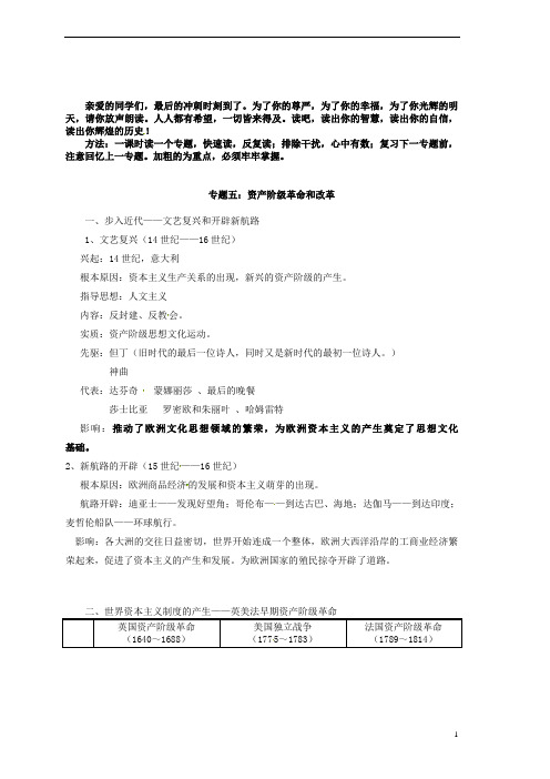 湖北省荆门市钟祥市兰台中学中考历史专题复习 资产阶级革命和改革 新人教版