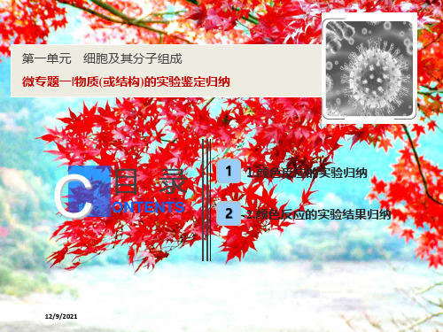 高考生物一轮复习 第一单元 细胞及其分子组成 微专题一 物质(或结构)的实验鉴定归纳课件