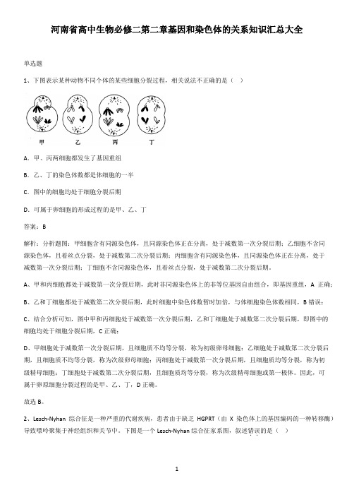 河南省高中生物必修二第二章基因和染色体的关系知识汇总大全